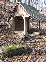 IMG_7855 (Glenartney, Maryland, United States) Photo IMG_7855 (Glenartney, Maryland, United States) Photo