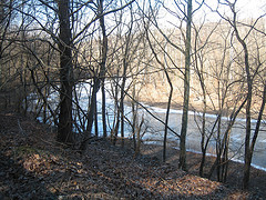 IMG_7853 (Glenartney, Maryland, United States) Photo IMG_7853 (Glenartney, Maryland, United States) Photo