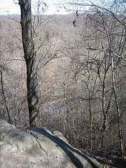 IMG_7856 (Glenartney, Maryland, United States) Photo IMG_7856 (Glenartney, Maryland, United States) Photo