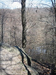 IMG_7857 (Glenartney, Maryland, United States) Photo IMG_7857 (Glenartney, Maryland, United States) Photo