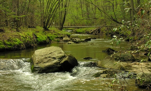 Rachel Carson Conservation Park Rachel Carson Conservation Park